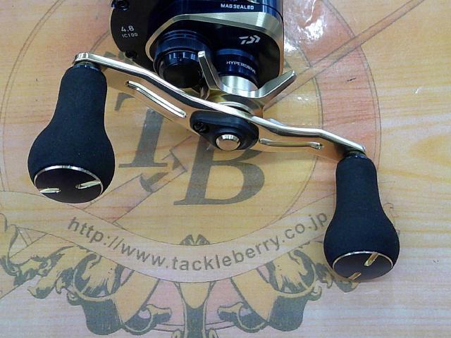 21ソルティガIC 100P-DH