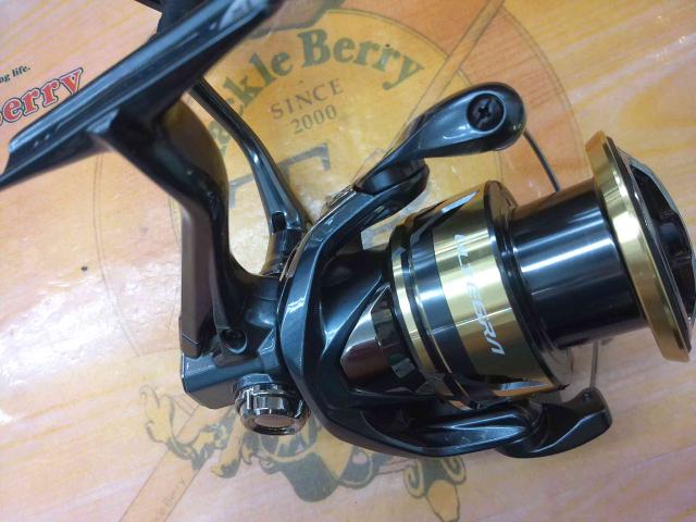 25アルテグラ C3000XG