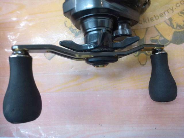 20ティエラIC 100H