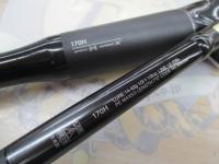 21ポイズングロリアス 170H