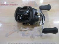 シルバーウルフ SV TW PEスペシャル 1000XHL