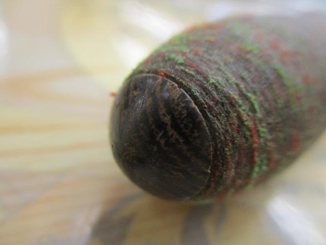 朱紋峰 飛ぬけ 14