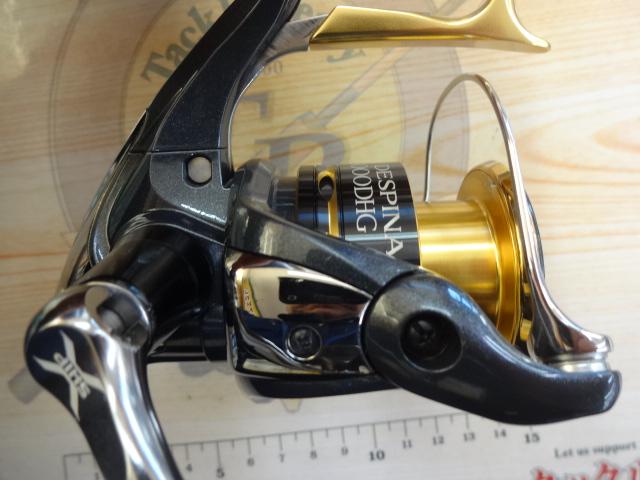 11BB-Xデスピナ C3000DHG