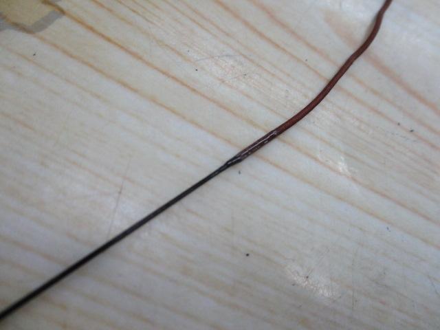 ウィスカーTHEハエ 54