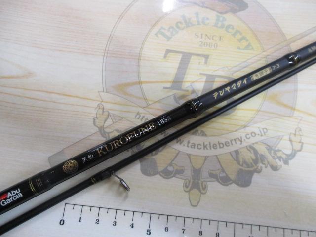 黒船 テンヤマダイ KTMS-250M 7:3先調子