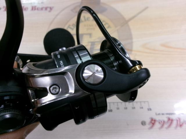 ロキサーニ 3000MSH