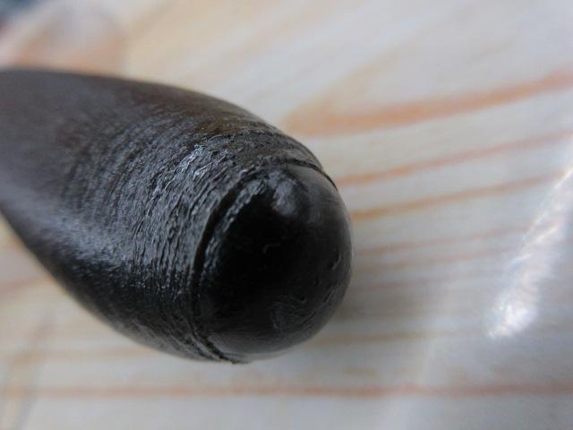 江戸川英仙11号