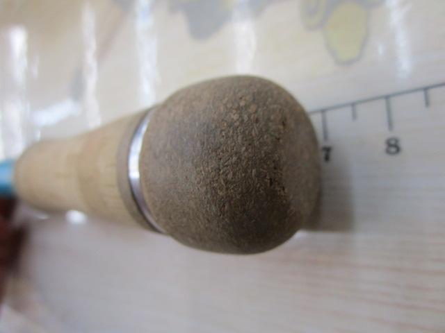 カナリア アゾレス81