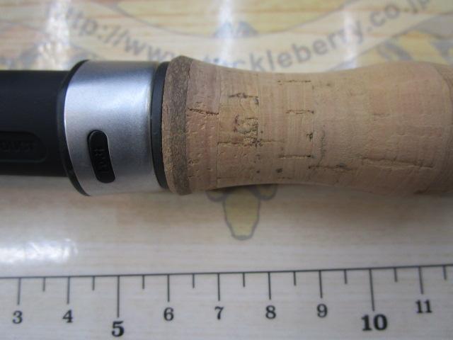 カナリア アゾレス81