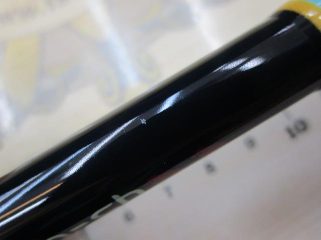 カナリア アゾレス81