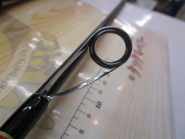 カナリア アゾレス81