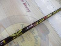 ゴールデンウィングツアーエディション GWT63CLJ