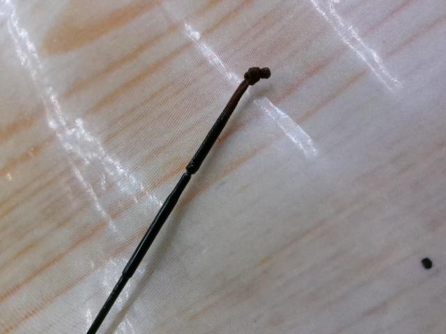 朱紋峰 先ぬけ 18