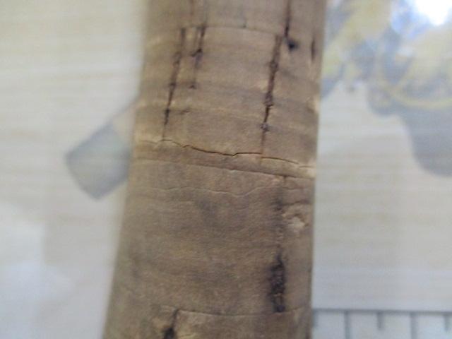 シルバークリーク SC-865F(S)