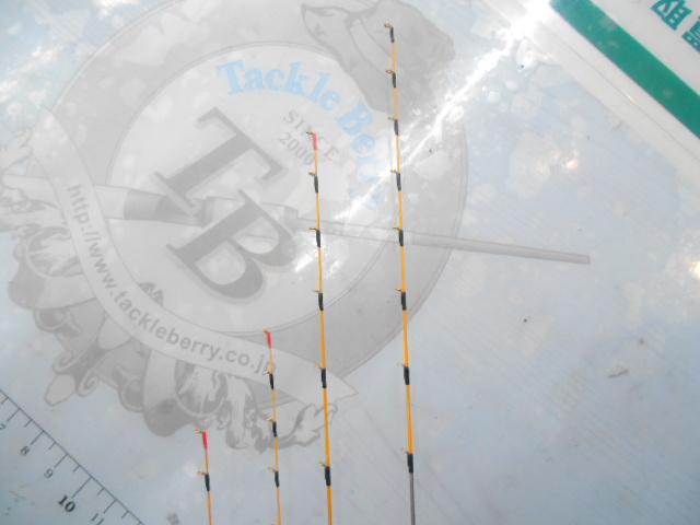 イカダリミテッドS2