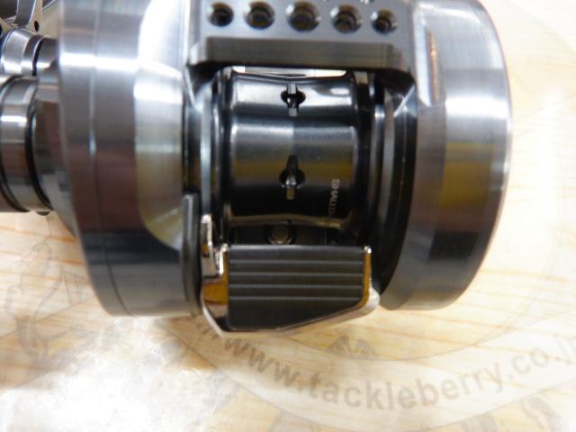 24カルカッタコンクエスト シャローエディション 31HG