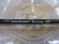 スーパーブロンズバッグ アリヴェール63 ダンス