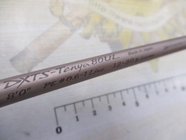 デクスター DXTS-TENYA 80UL