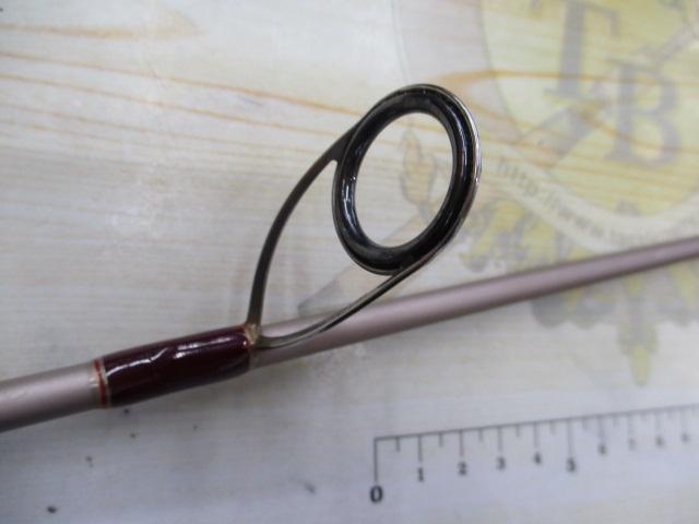 デクスター DXTS-TENYA 80UL