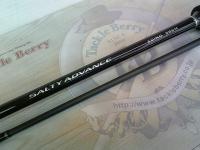 19ソルティーアドバンスエギング 86M