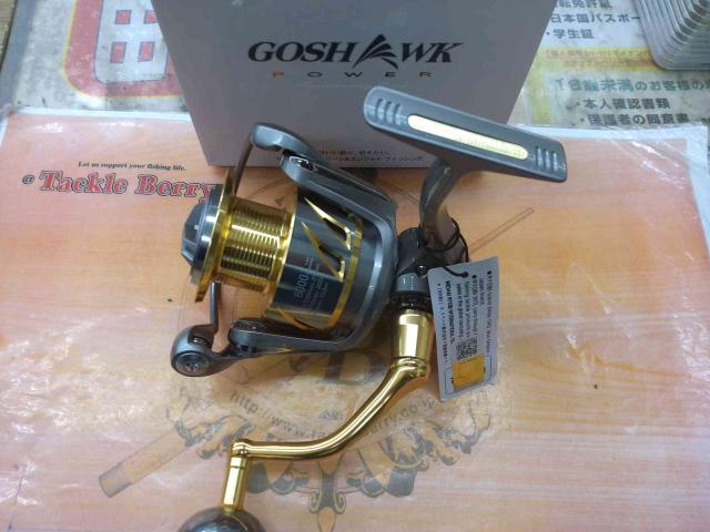 GOSSHAWK POWER 6000