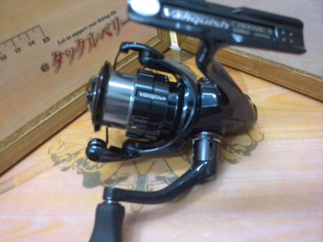 19ヴァンキッシュ C2500SHG