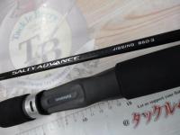 19ソルティーアドバンスジギング B60-3