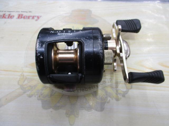 ピナクルビジョンVSRT10