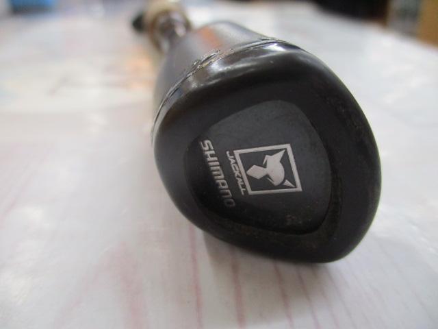 21ポイズングロリアス 166M