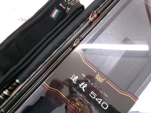 がま石グランドバーサスV-Ⅱ 遠投540