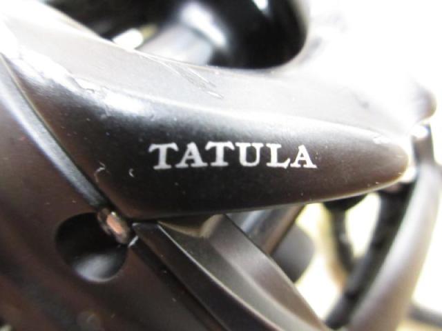 24タトゥーラ TW 100H