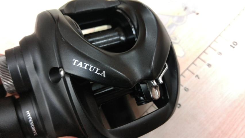 24タトゥーラ TW 100H