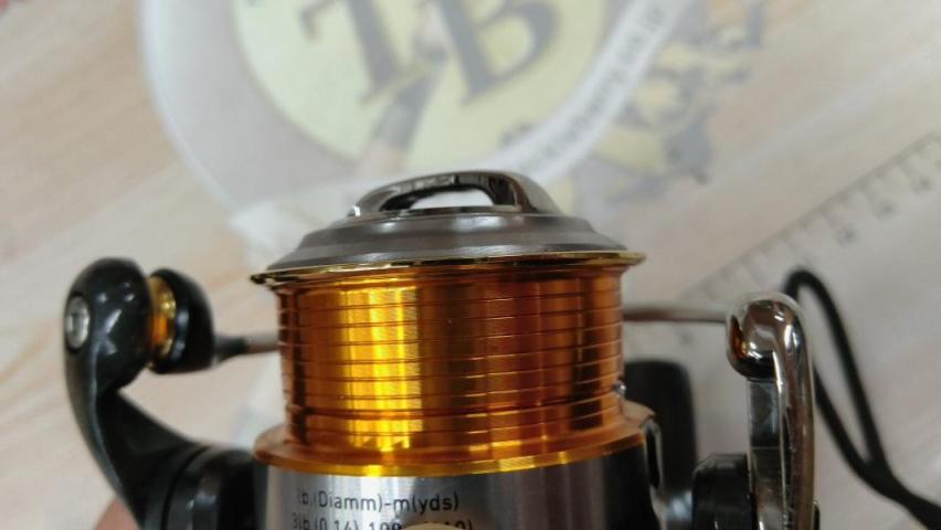 13セルテート 1003