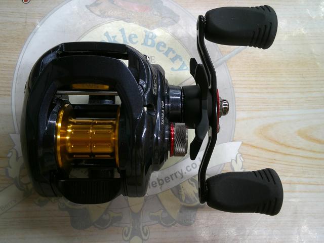 タトゥーラ 100SH-TW