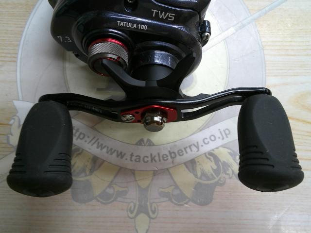 タトゥーラ 100SH-TW