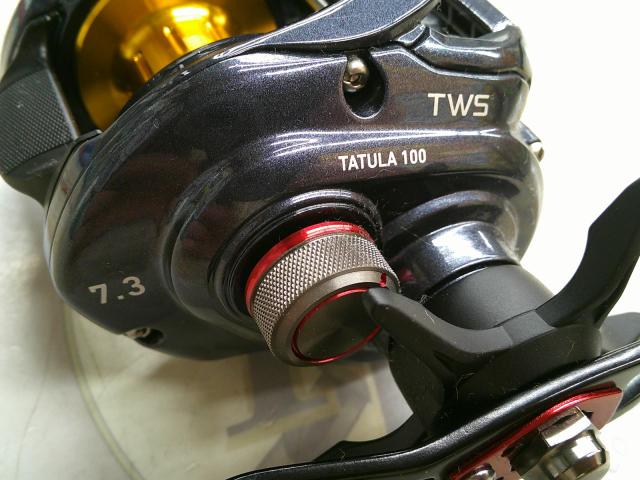 タトゥーラ 100SH-TW