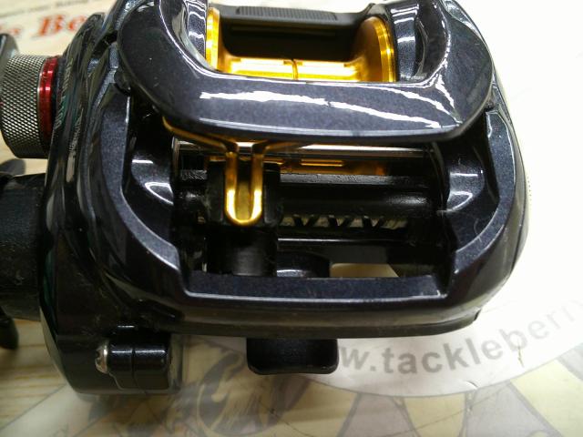 タトゥーラ 100SH-TW