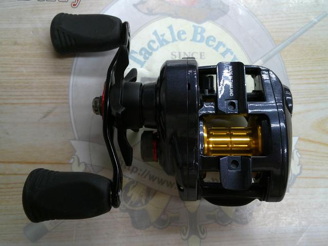 タトゥーラ 100SH-TW