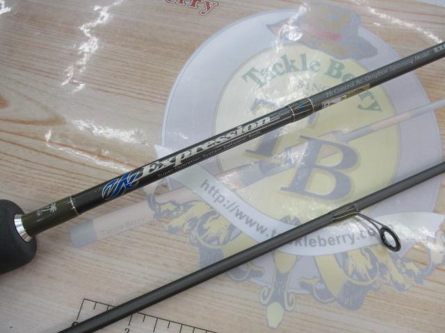 エクスプレッション EXGS-661