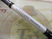 早舟ビシアジ MH-170