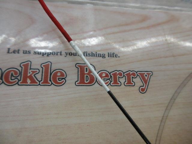 プロテックツインパワー鮎100H/2.5