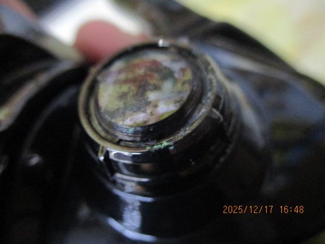 24エクスセンスBB 3000MHG