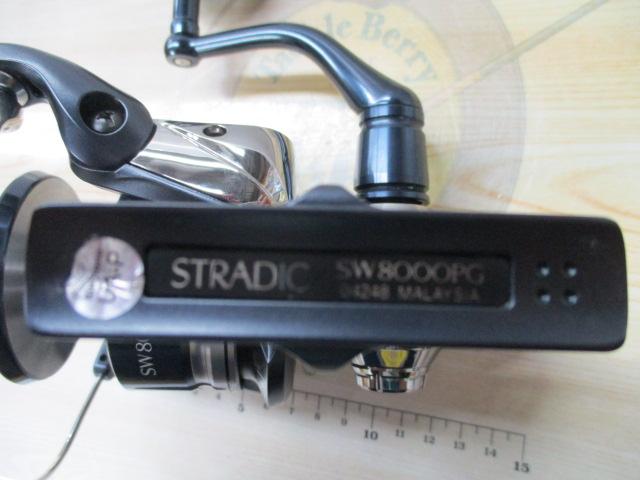 20ストラディックSW 8000PG