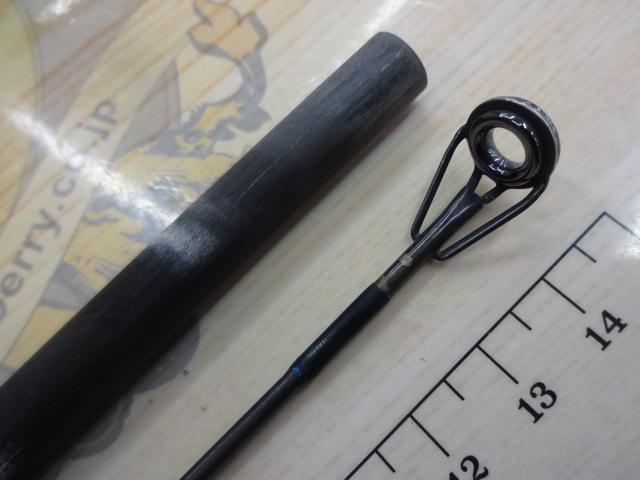 タイドウォーカー TW-1000