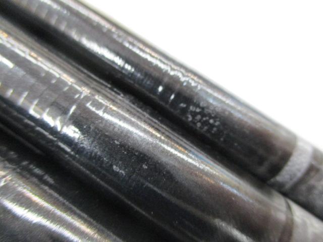 瀬音コロガシ 81