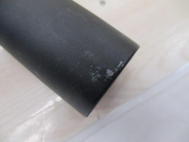 瀬音コロガシ 81