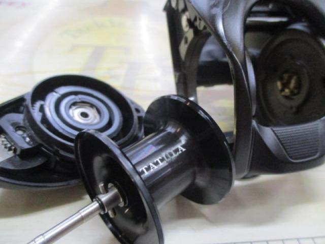 24タトゥーラ TW 100XH