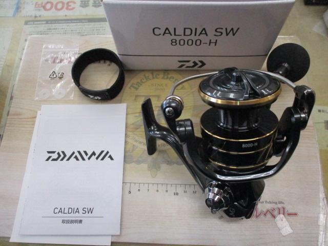 22カルディアSW 8000-H