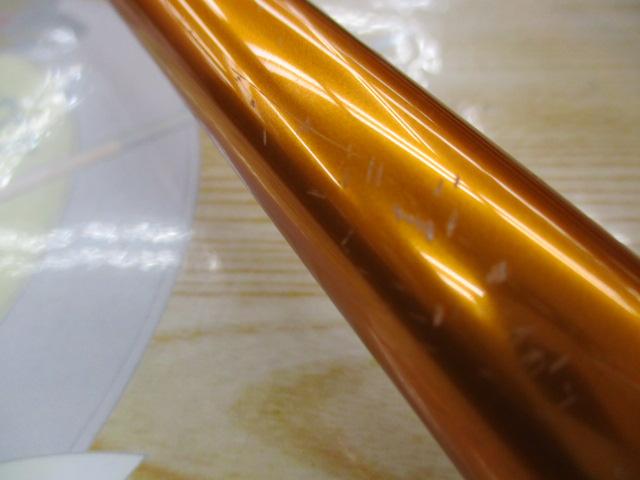 キャスティズム 18-295