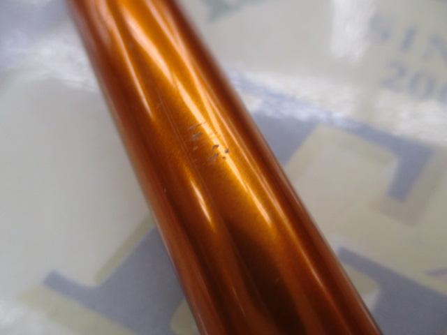 キャスティズム 18-295